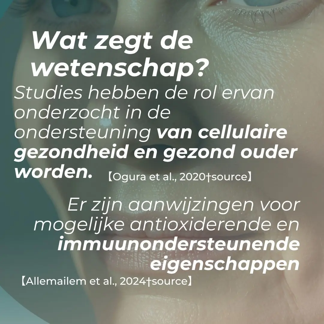 Productafbeelding 3