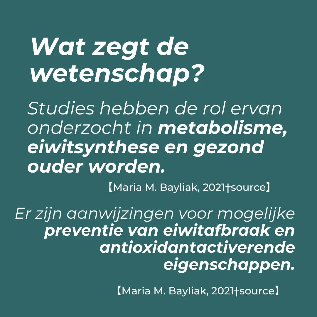 Productafbeelding 5