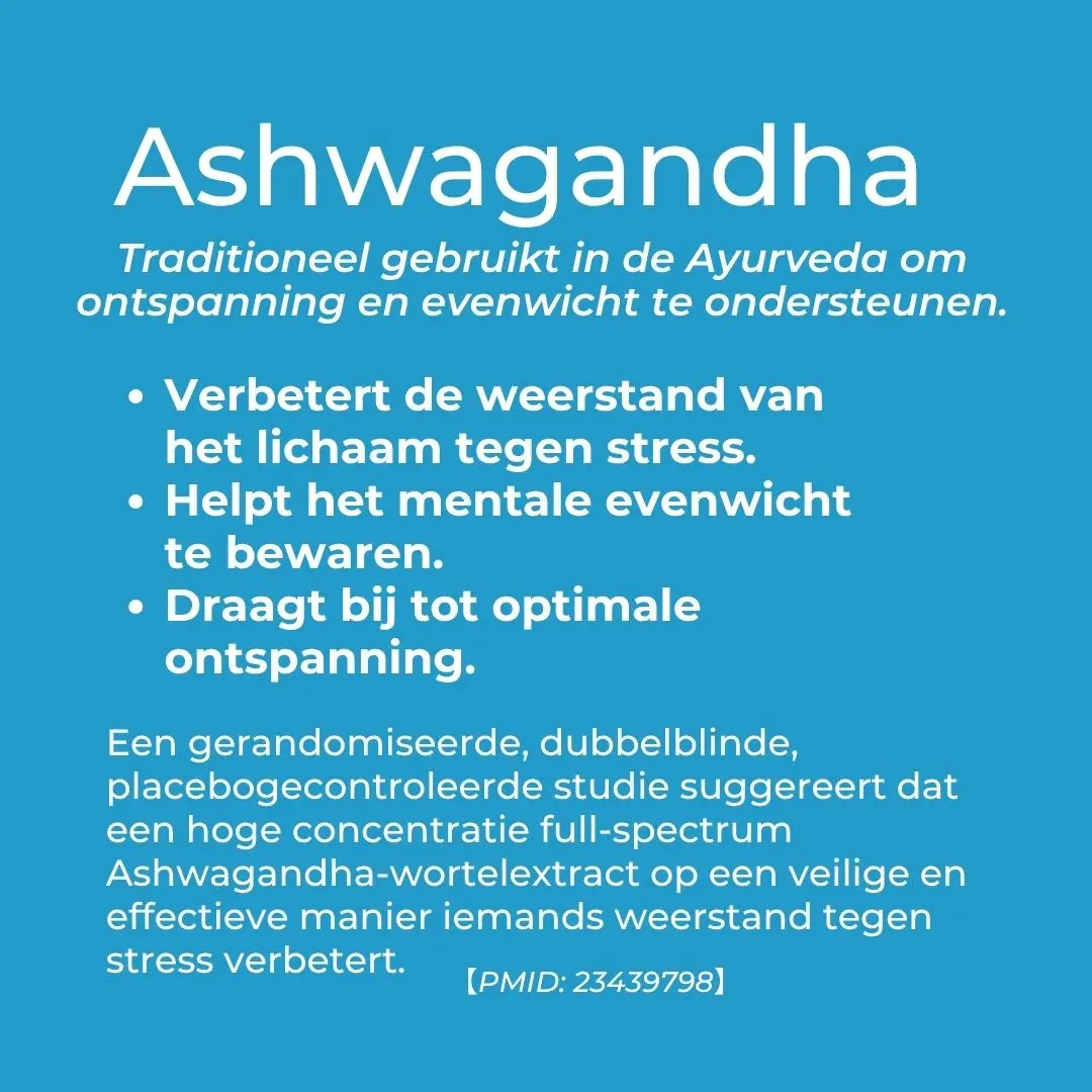 Productafbeelding 4