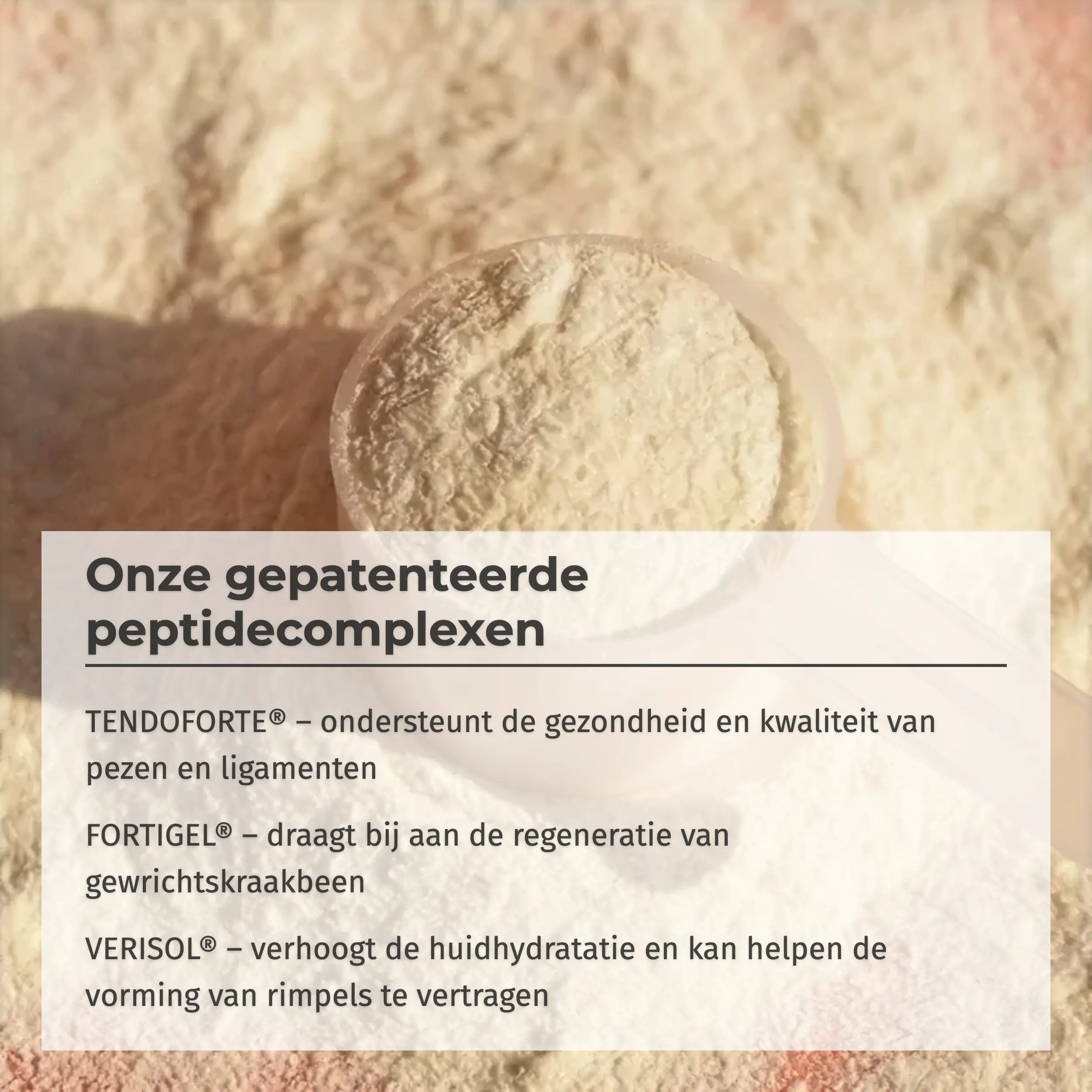 Productafbeelding 5