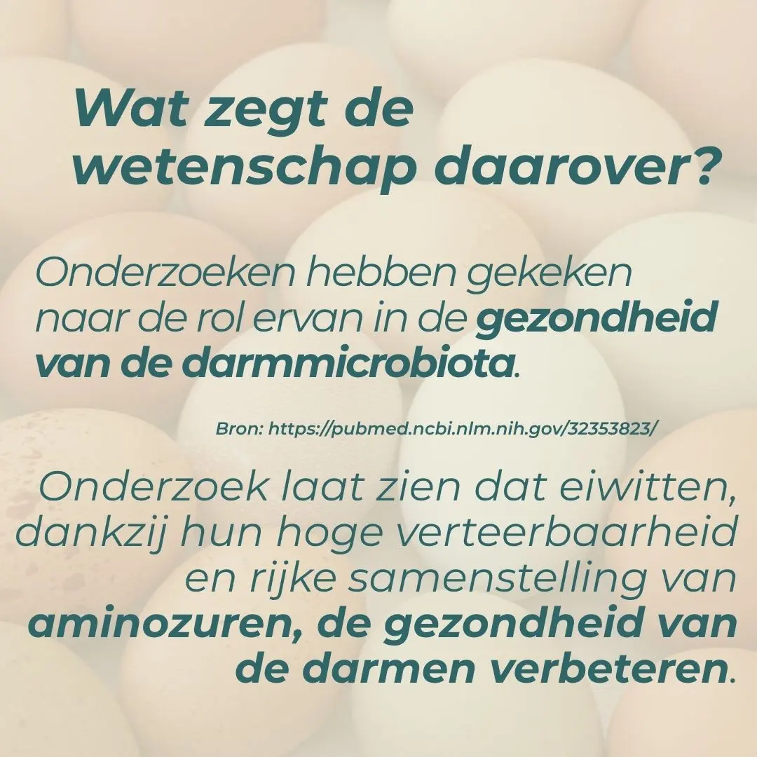Productafbeelding 5