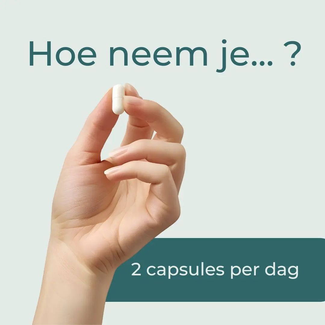 Productafbeelding 7