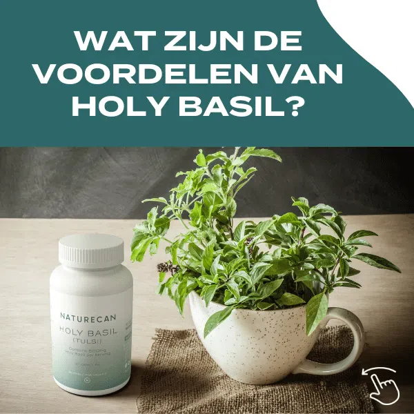 Productafbeelding 4