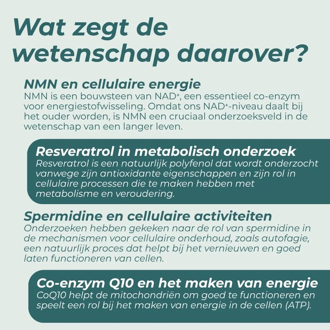Productafbeelding 13