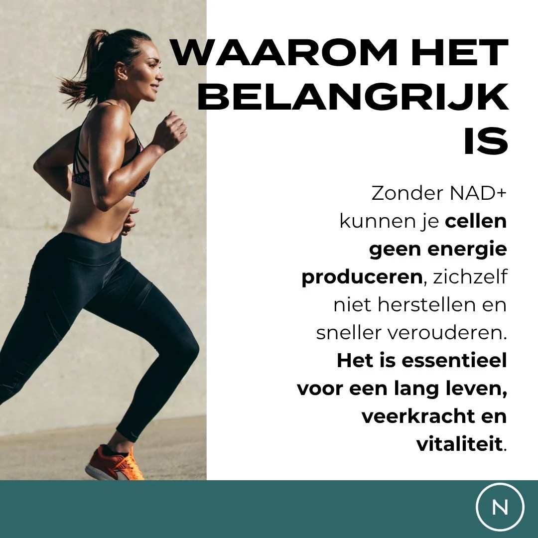 Productafbeelding 5