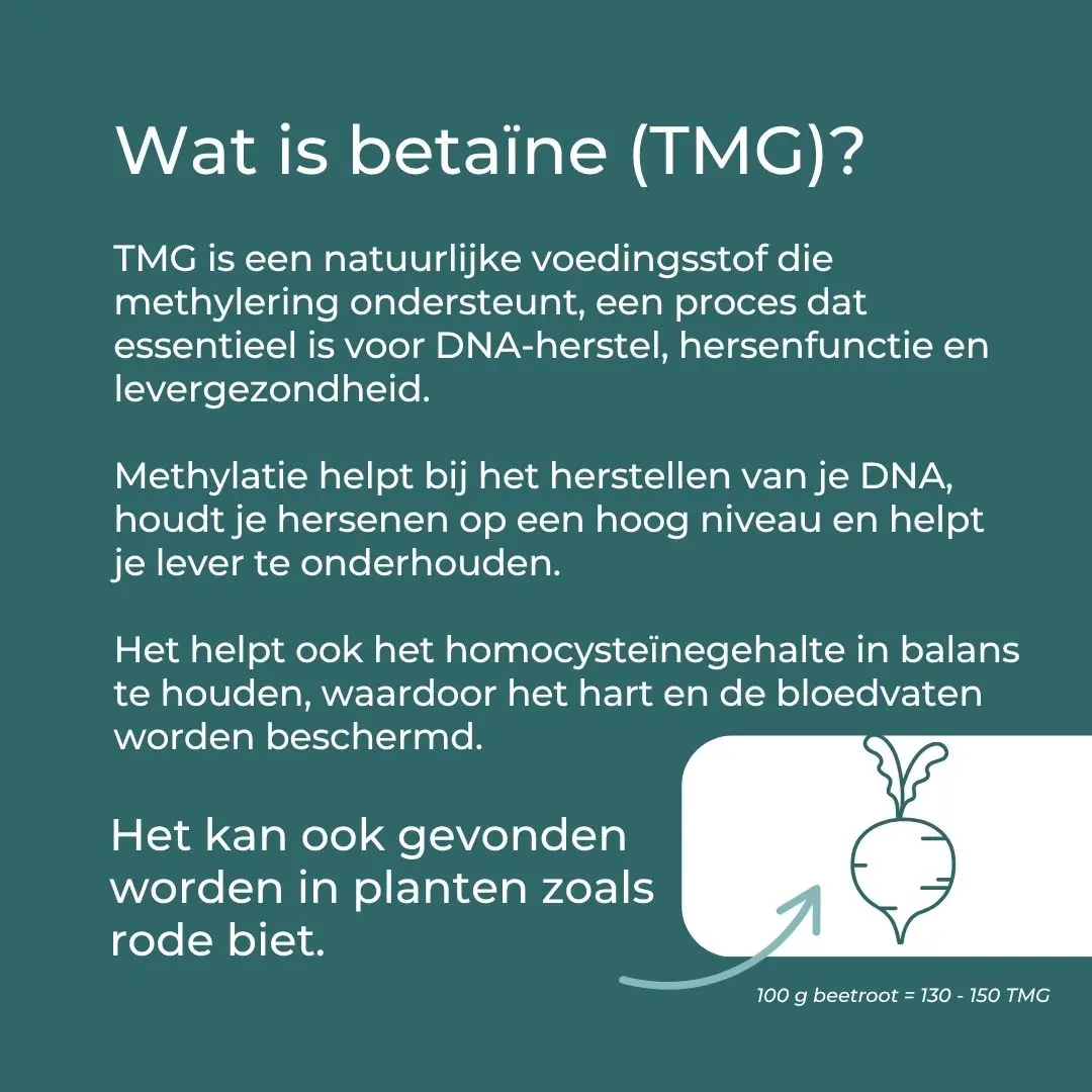 Productafbeelding 3