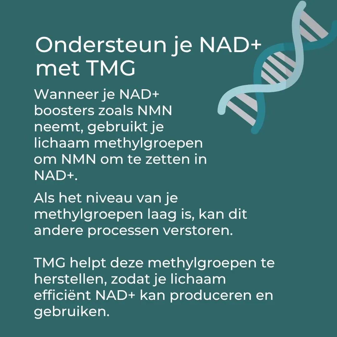 Productafbeelding 4