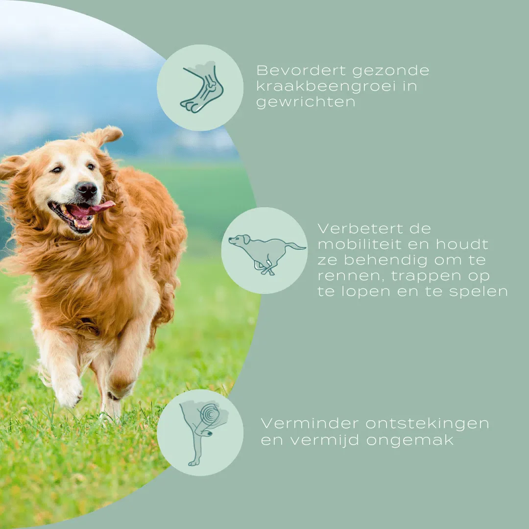 Productafbeelding 9