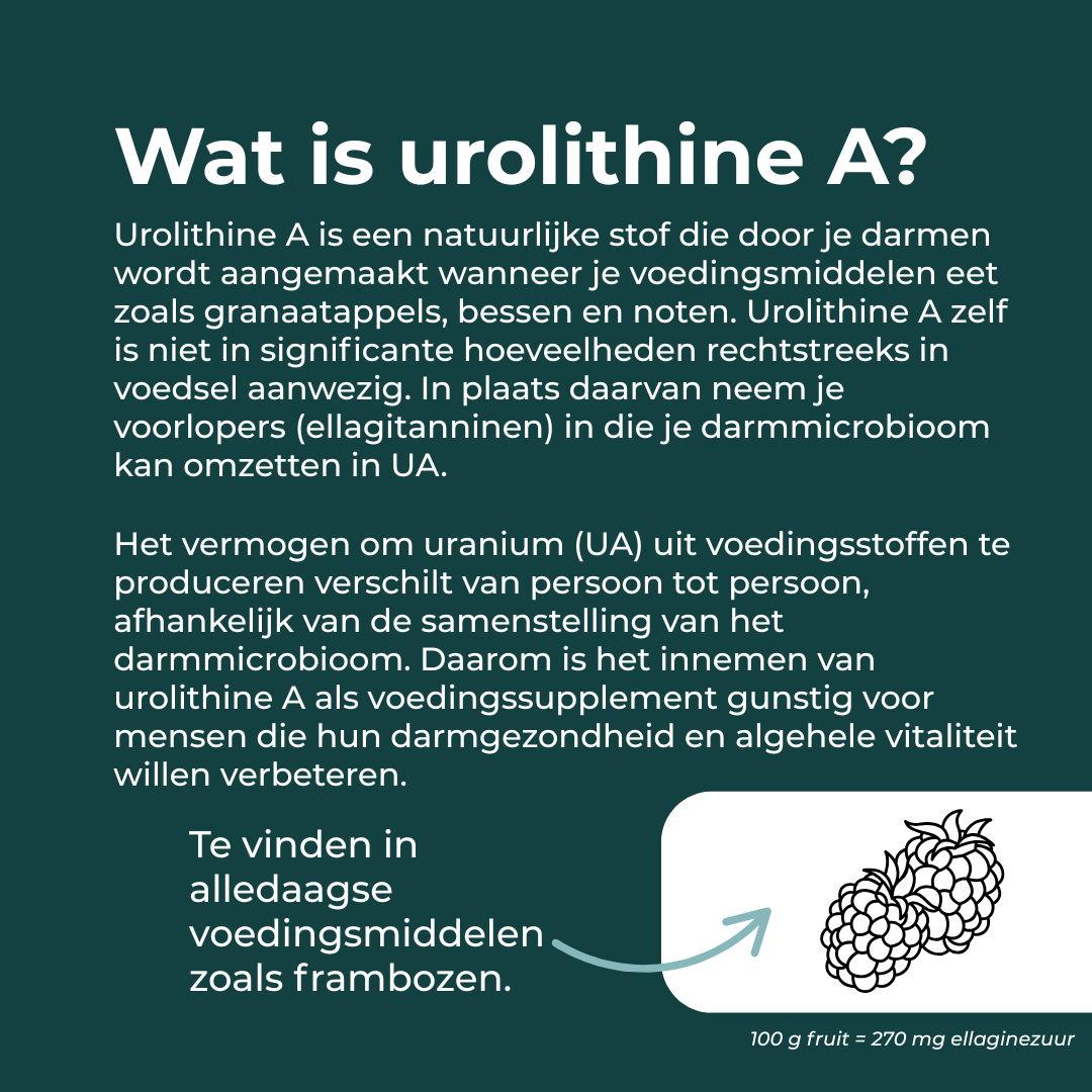 Productafbeelding 12
