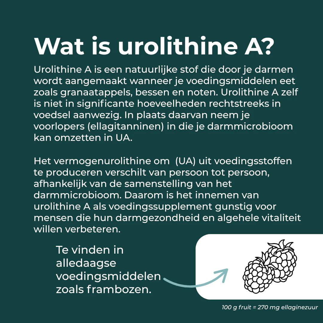 Productafbeelding 7