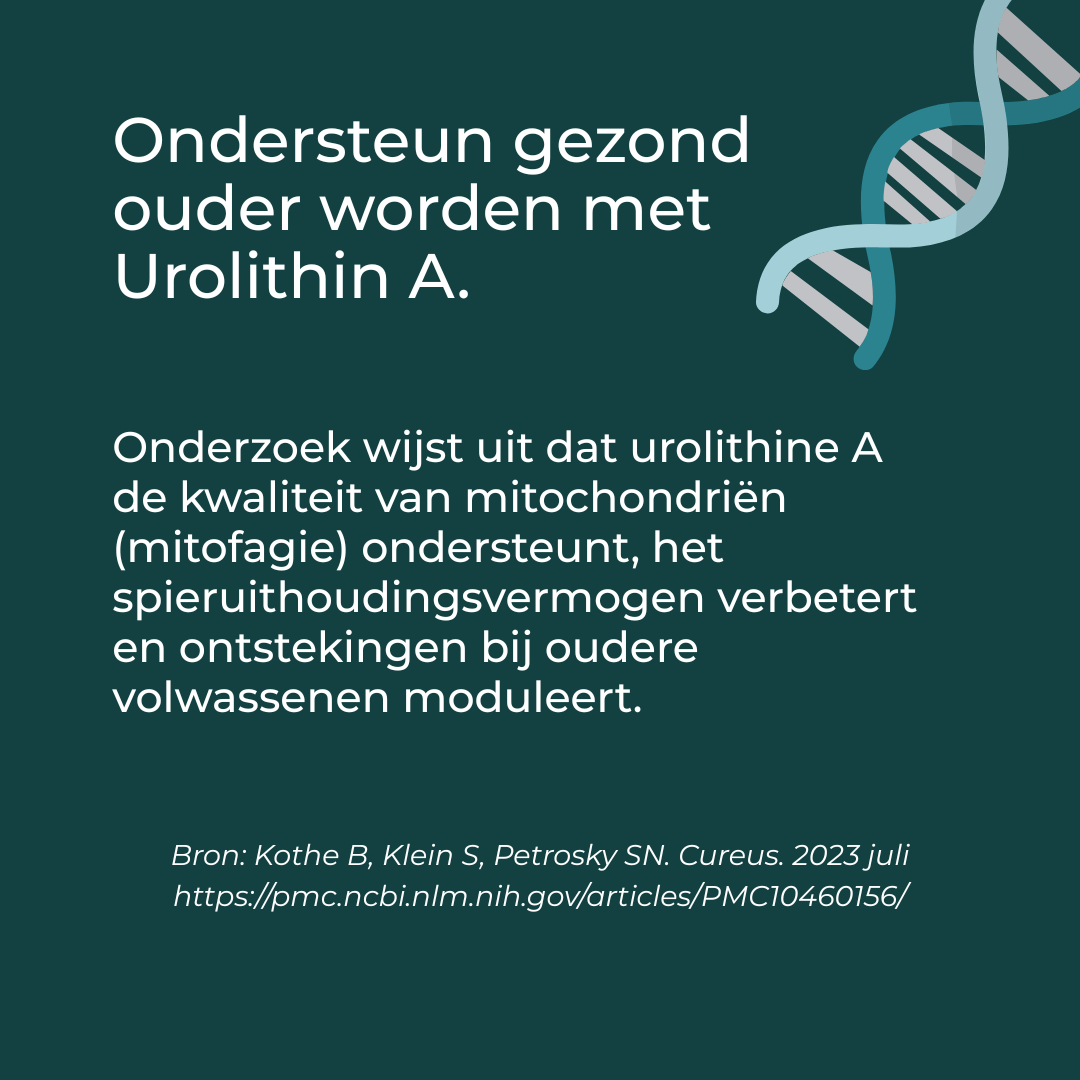 Productafbeelding 8